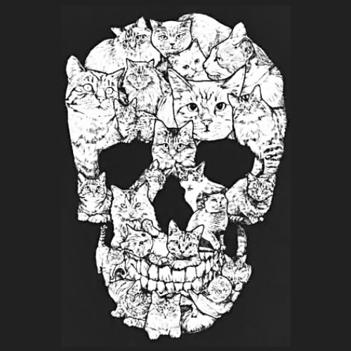 “Cat Skull”