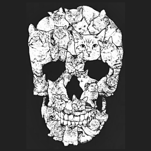 Skull cats T-shirt